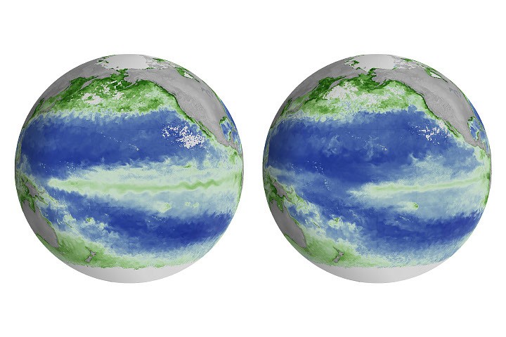 El Niño Alters Marine Life in the Pacific – NASA Science